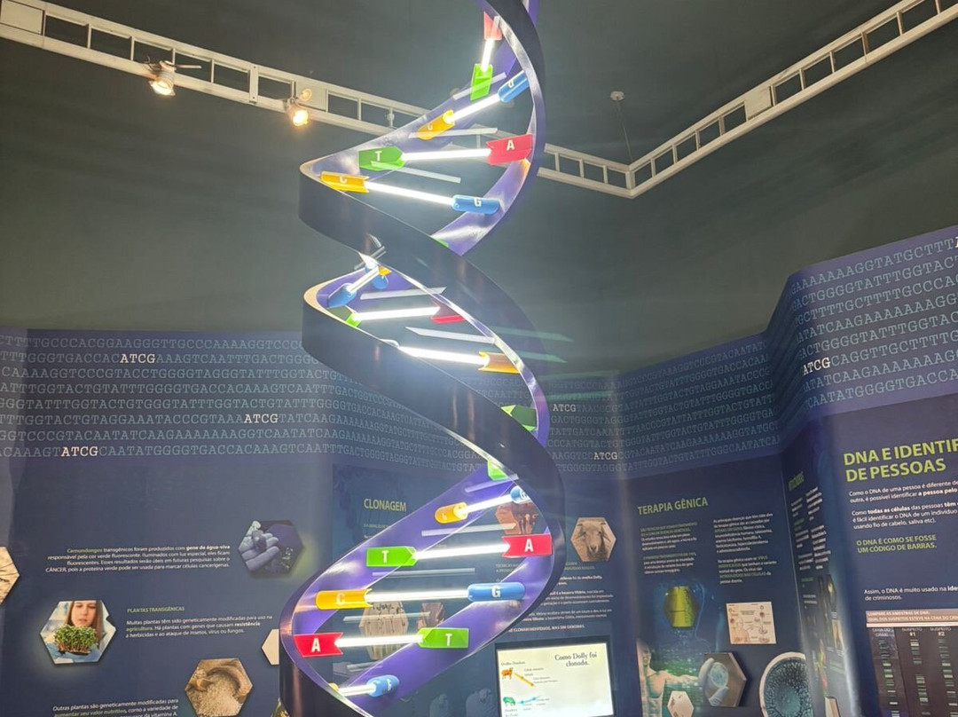 Museu Catavento-圣保罗必去景点