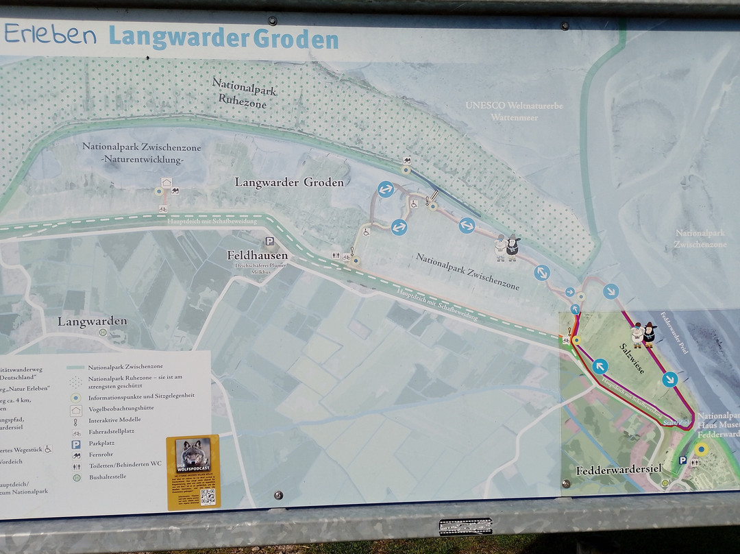 Langwarder Groden