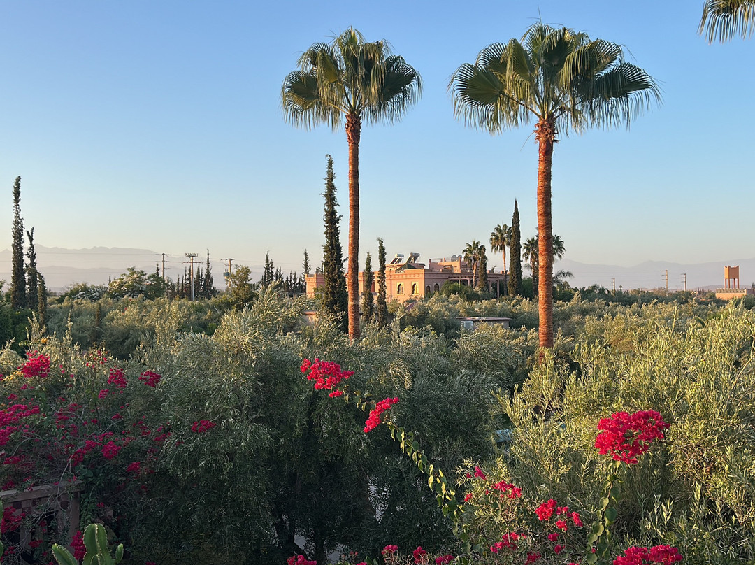 Domaine De Tameslohte主图