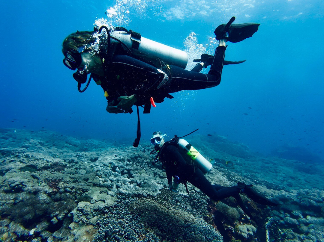 Ceningan Divers-努沙切宁安岛必去景点