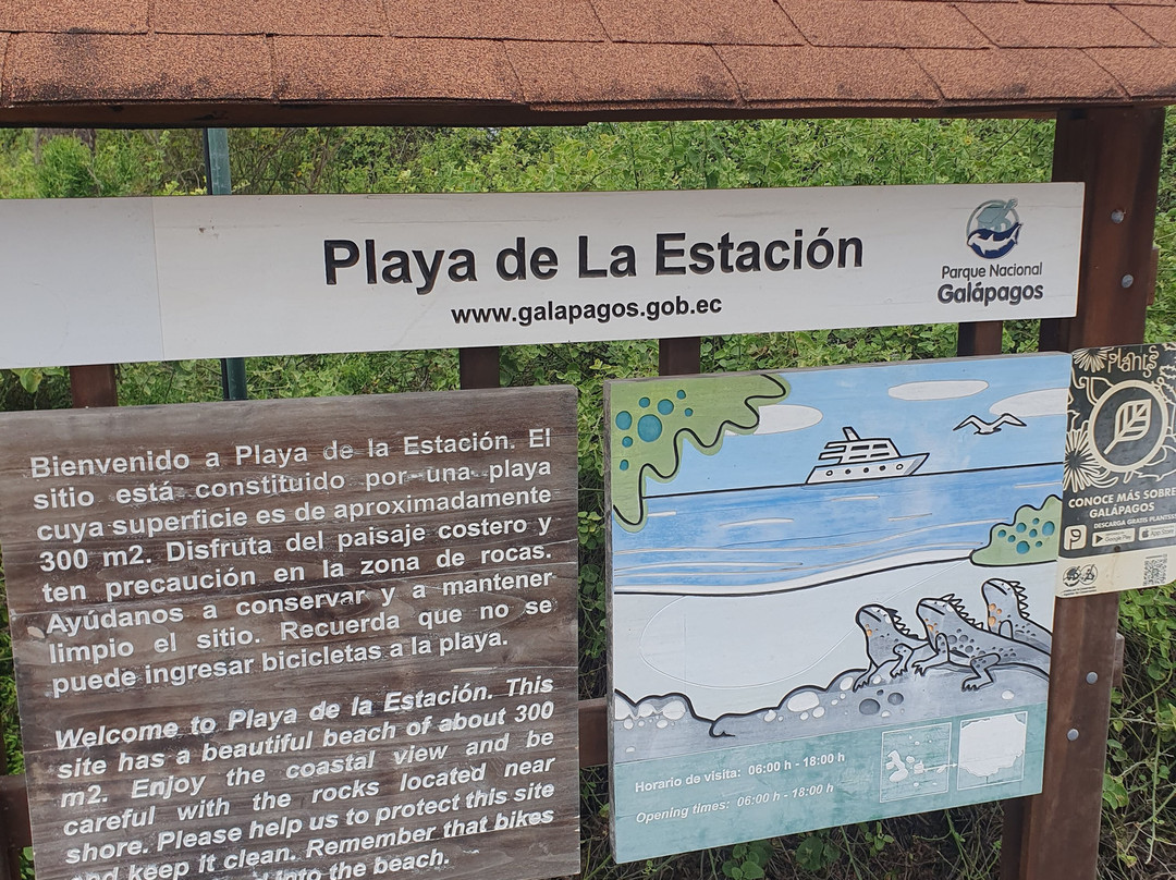 Playa de La Estacion-阿约拉港必去景点