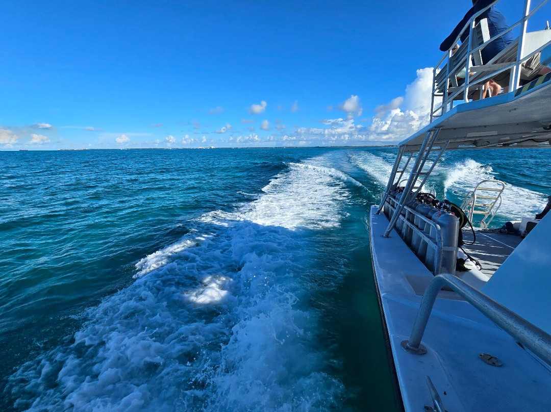 Stuart Cove's-拿骚必去景点