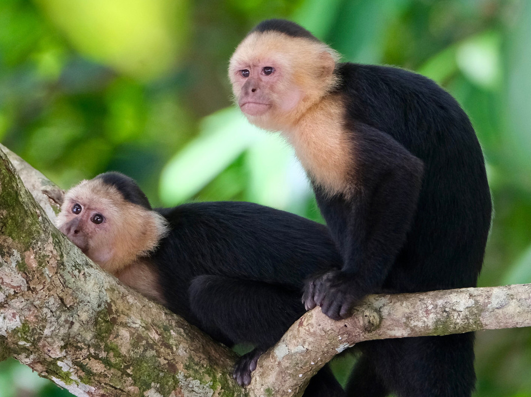 0S3 Private Tours-哈科必去景点