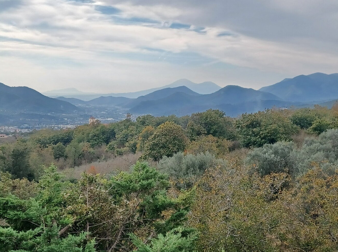 Agriturismo Il Boscaiolo