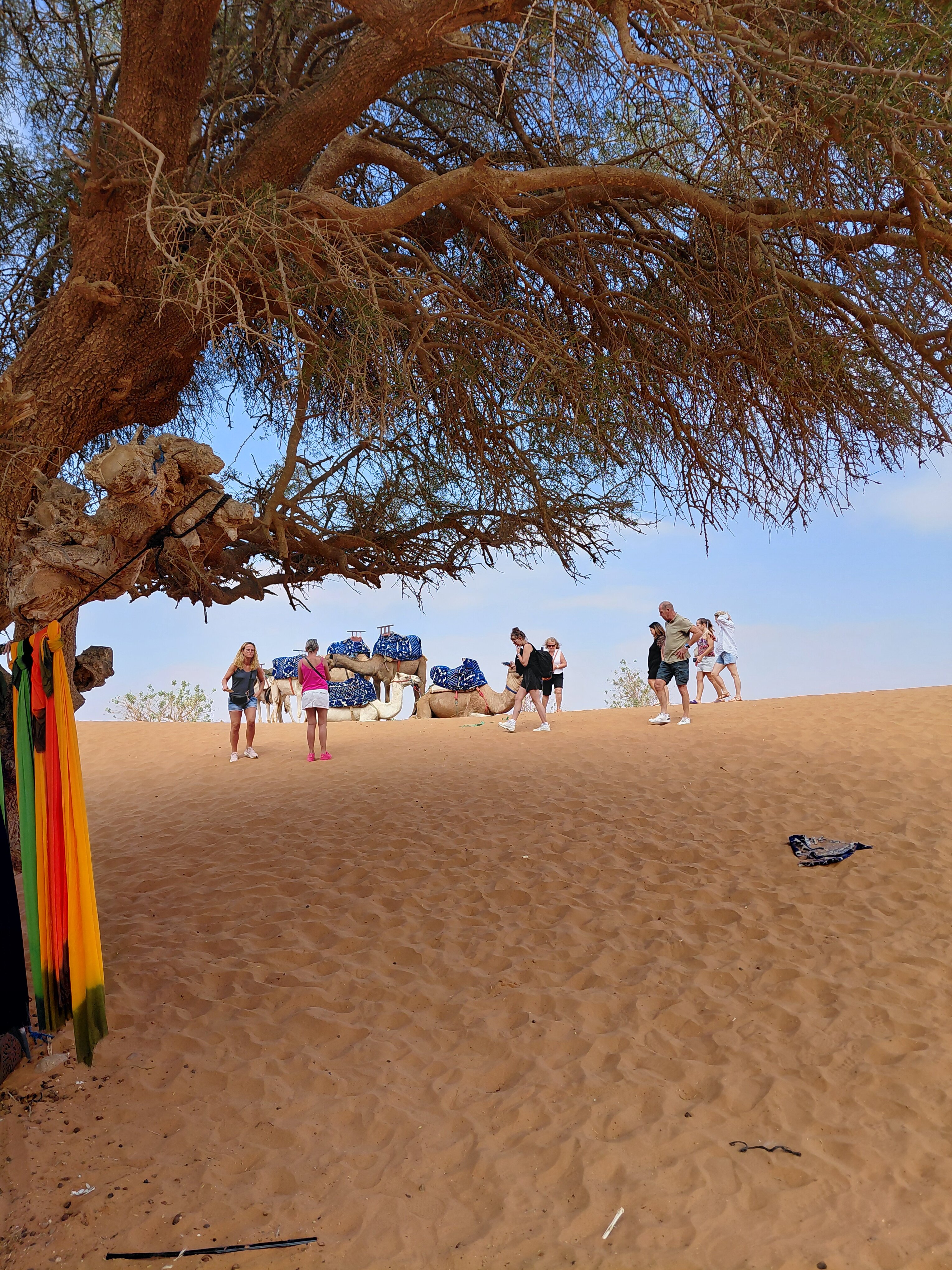 坑梓欧洲酒店-浴室