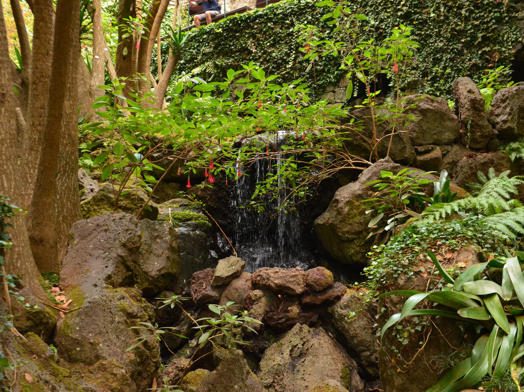 Botanical Garden Cable Car-沙尔必去景点