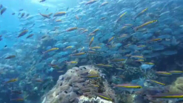 The Divers Boat Koh Phangan-Ban Tai必去景点