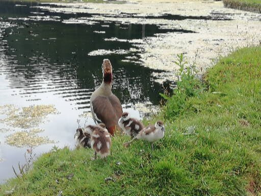 特尔菲伦赖斯特丽酒店主图
