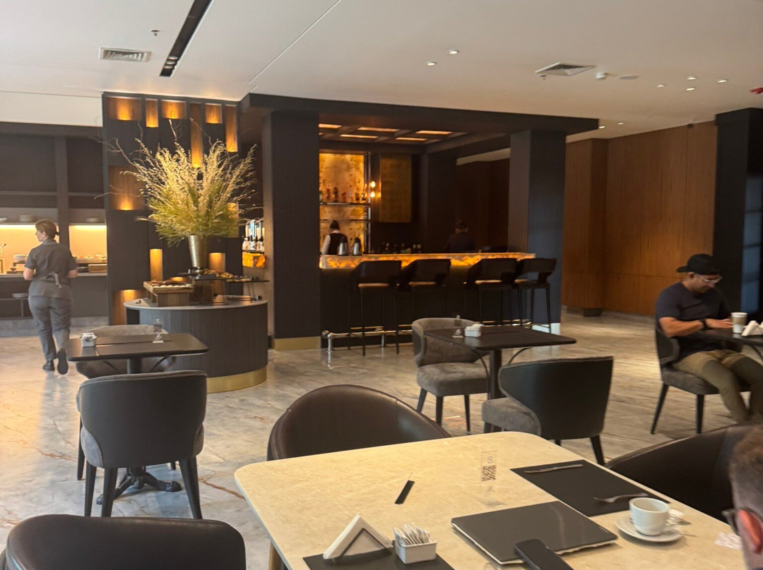 布宜诺斯艾利斯埃塞萨机场假日酒店主图