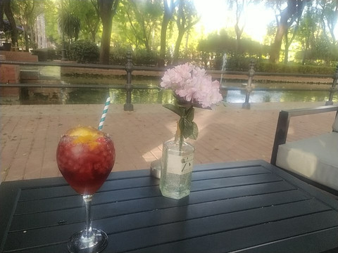 Premier Garden Cocktail Bar-塞维利亚必去景点