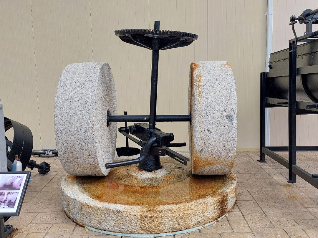 Aristeon Ecological Olive Press-Lithakia必去景点