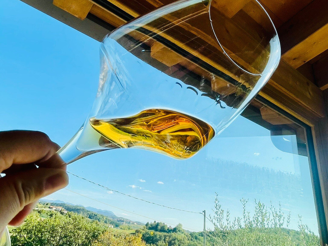 Tenuta Stella-Dolegna del Collio必去景点