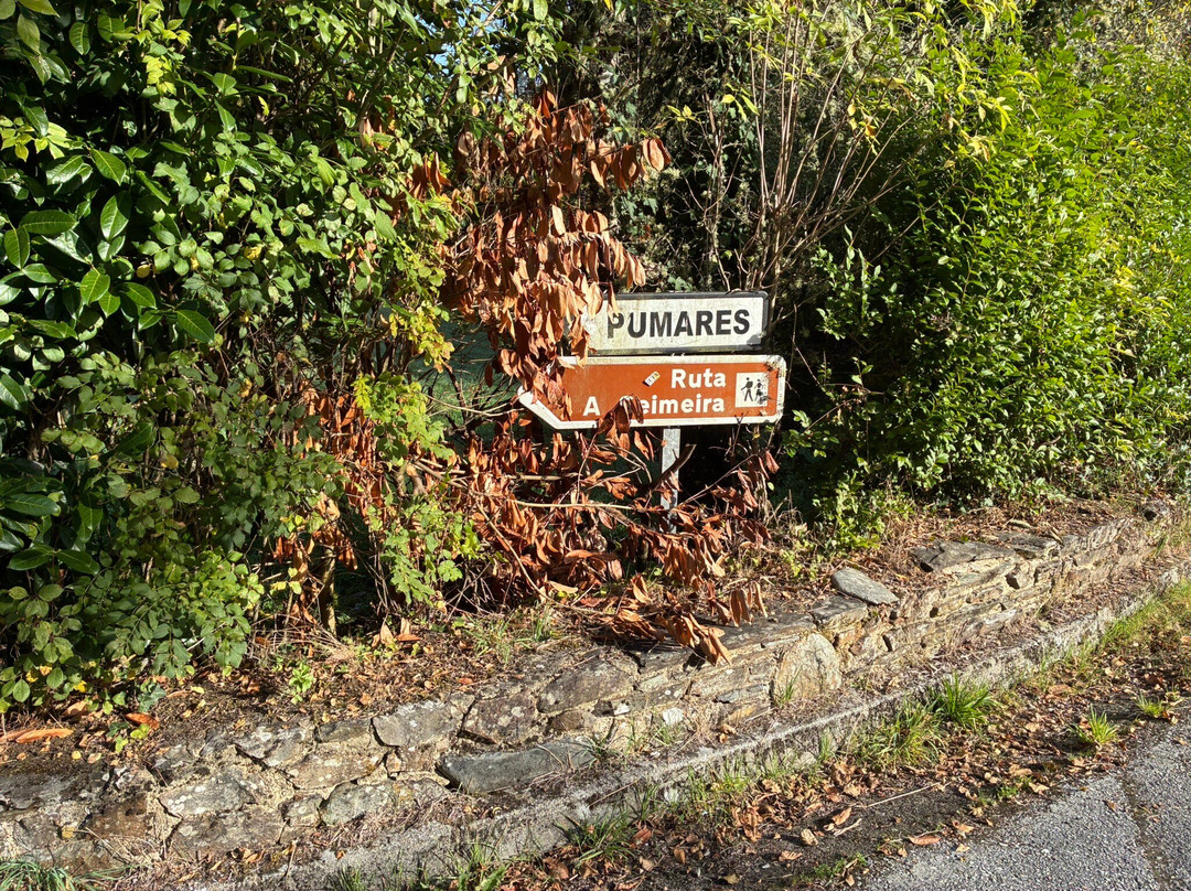 Ruta de La Cascada Seimeira-Santa Eulalia de Oscos必去景点