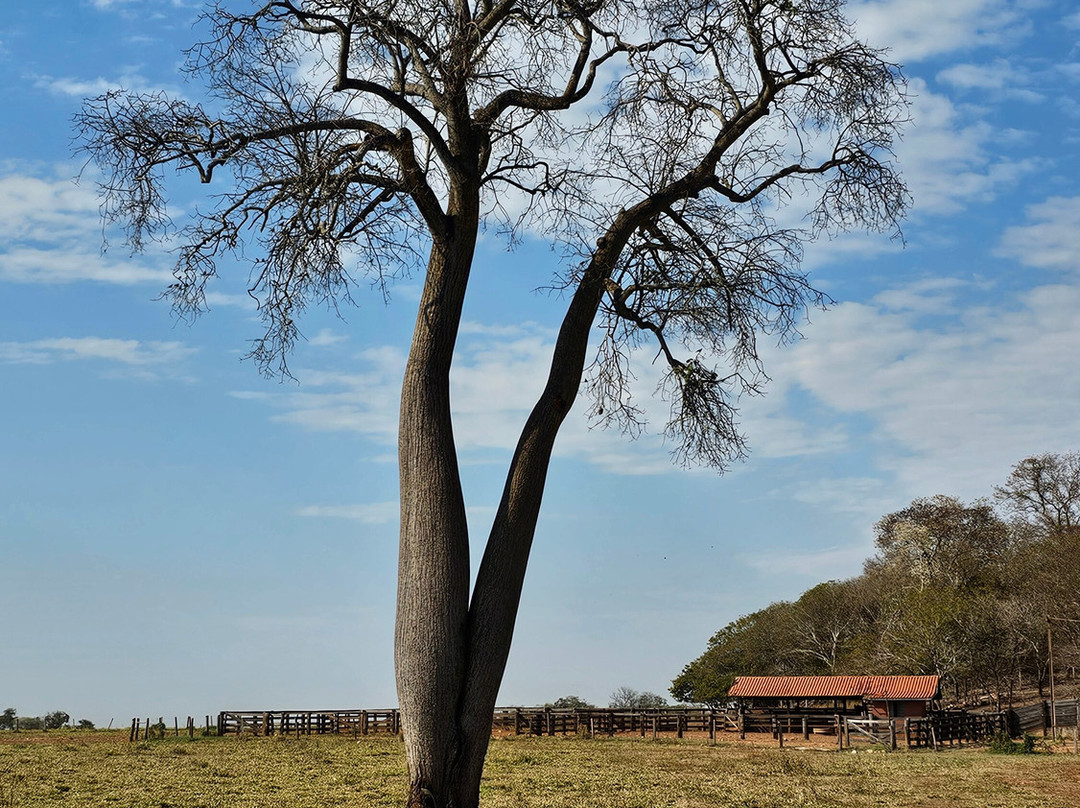 Fazenda San Francisco-米兰达必去景点