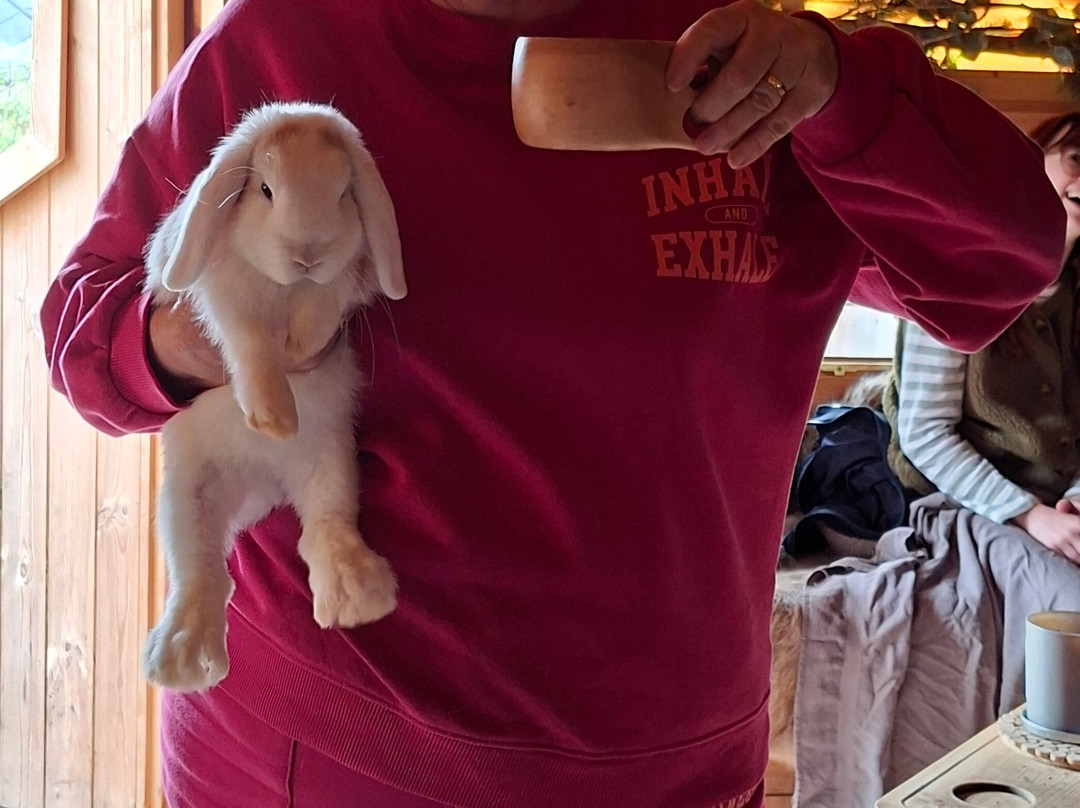 Nanny Sharon's Alpaca Farm C.I.C-Prenton必去景点