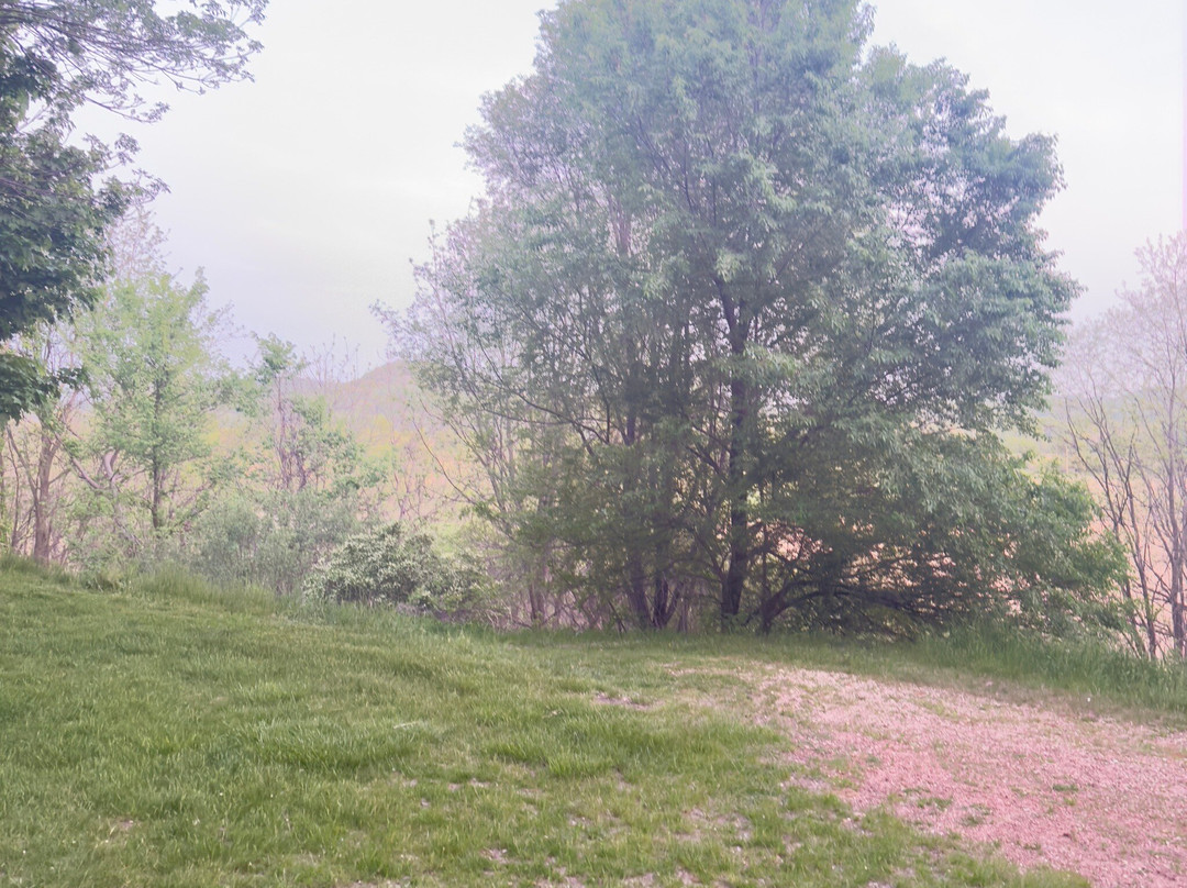 Stoney Creek Hotel La Crosse - Onalaska主图