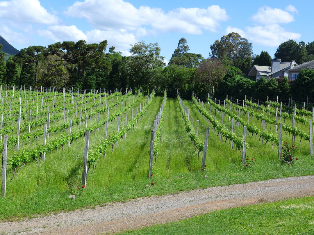 Casa Seganfredo-格拉玛多必去景点