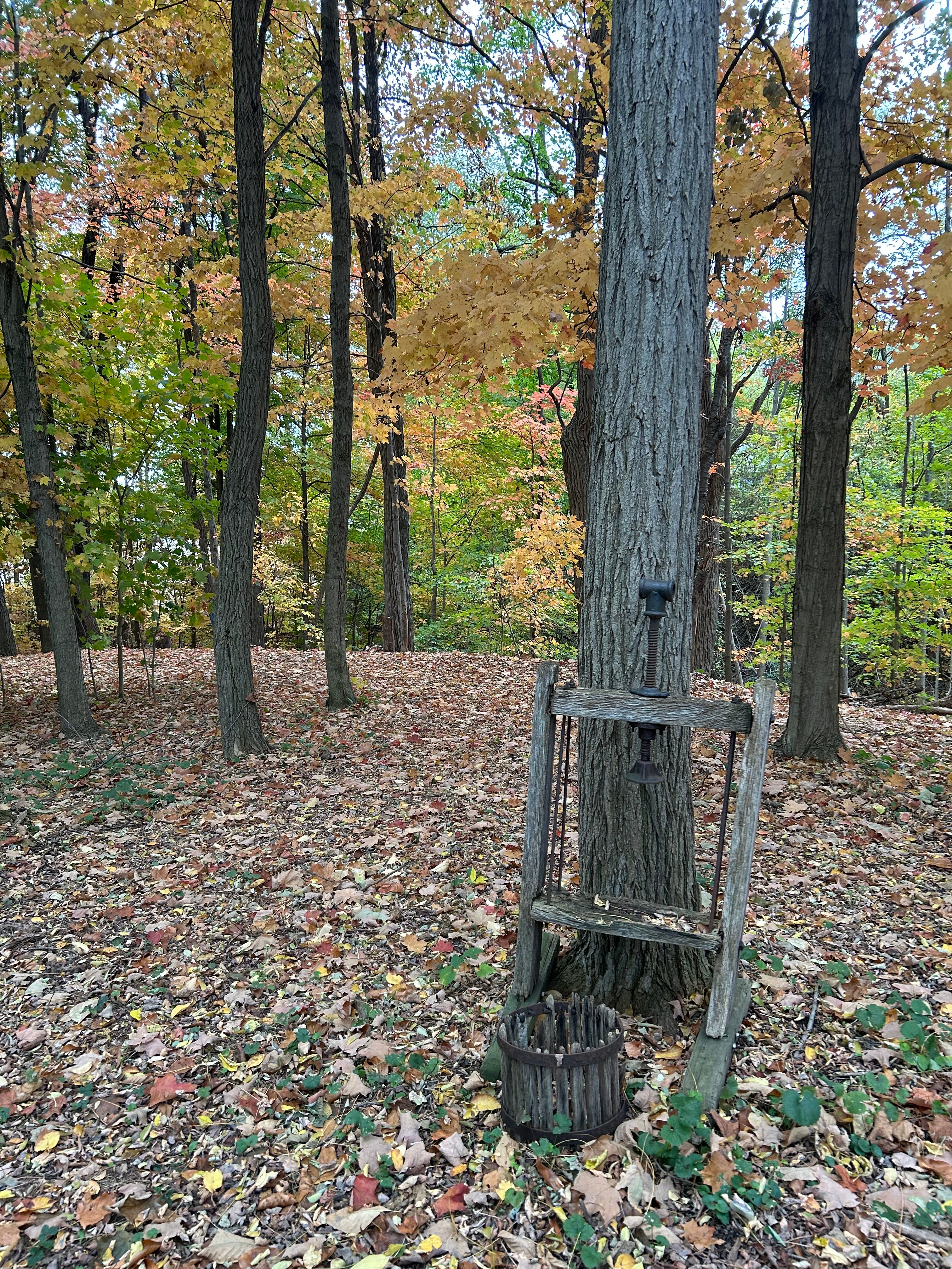 Los Gatos Bed & Breakfast-浴室