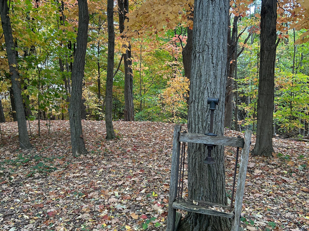 Los Gatos Bed & Breakfast主图