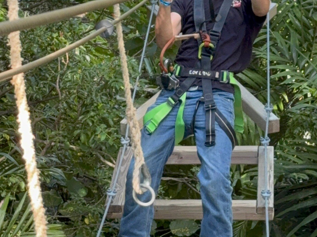 Treetop Trekking Miami-迈阿密必去景点