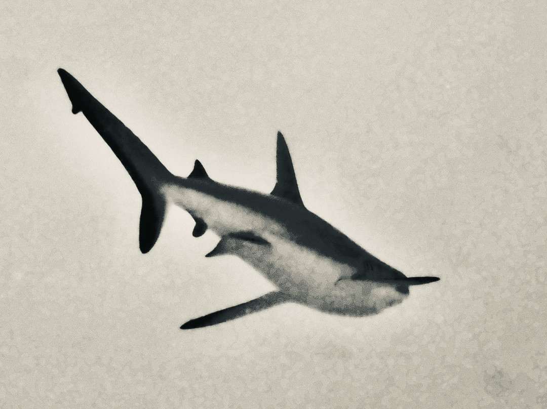 The Six Passengers-阿瓦托鲁必去景点