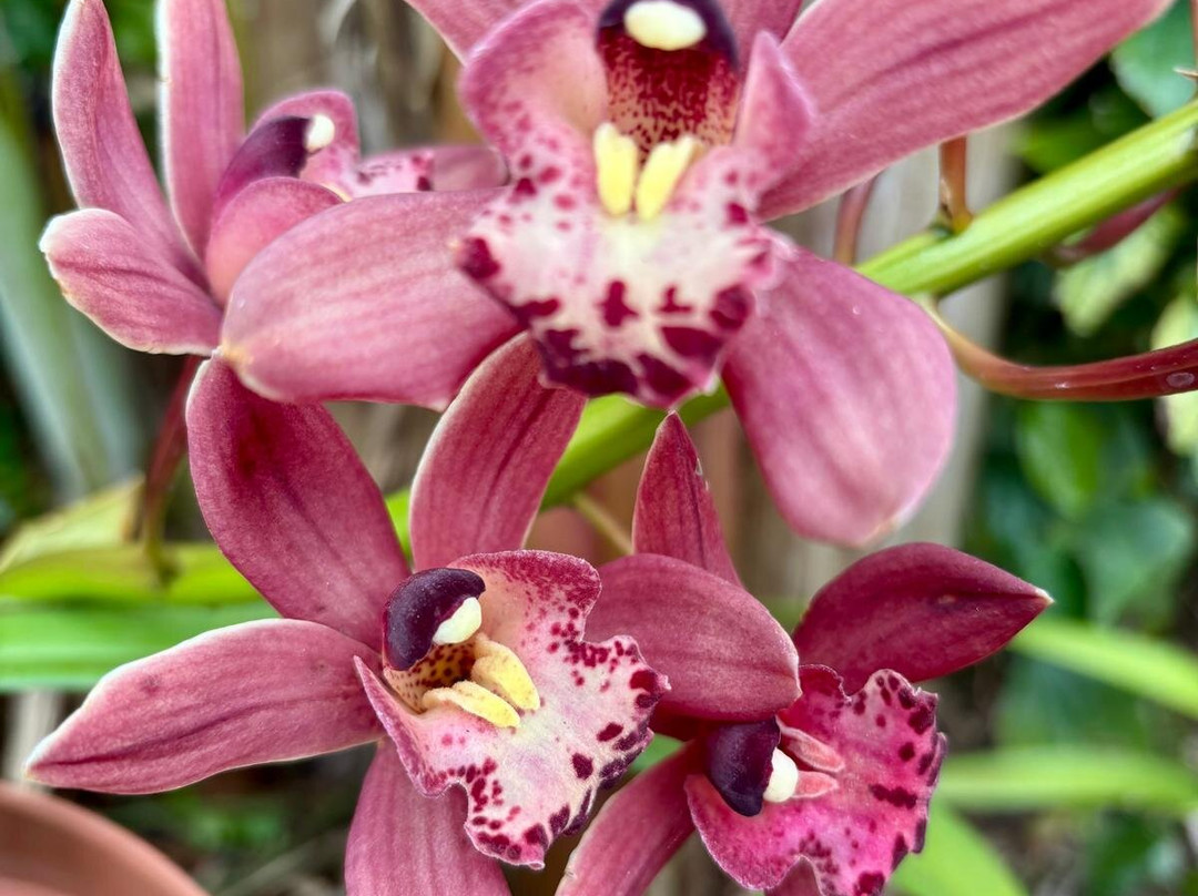 Samaran Trekking-Mafate必去景点