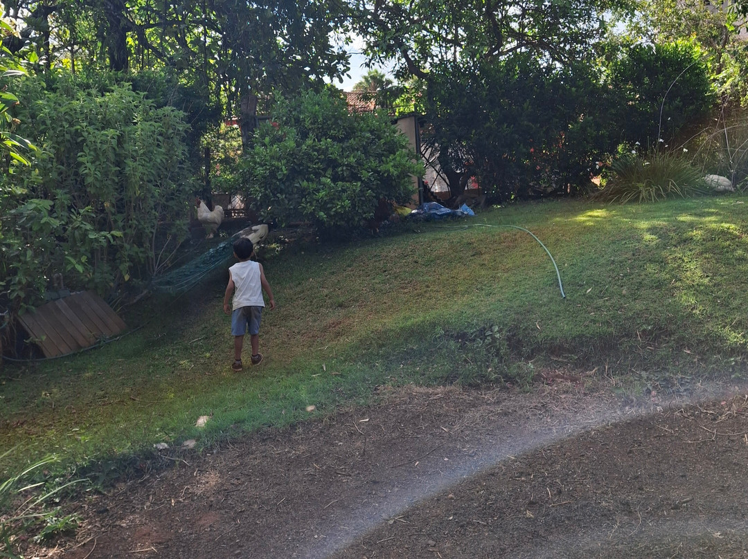 Fazendinha Zoomix-Franca必去景点