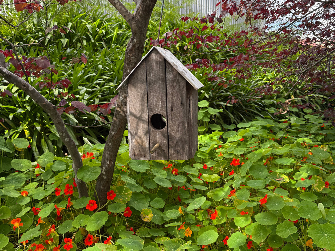 Berry Farm-玛格丽特河必去景点