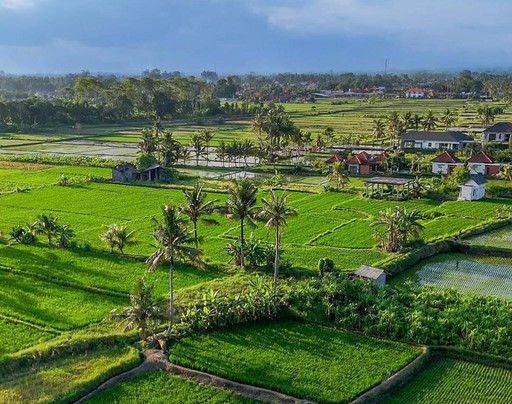 Ikada Villa Ubud by GenuineHost