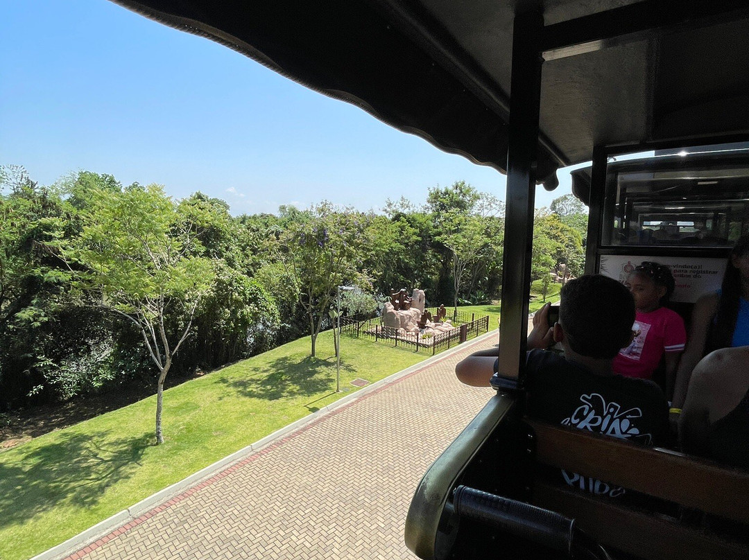 Trem Do Devoto-阿帕雷西达必去景点