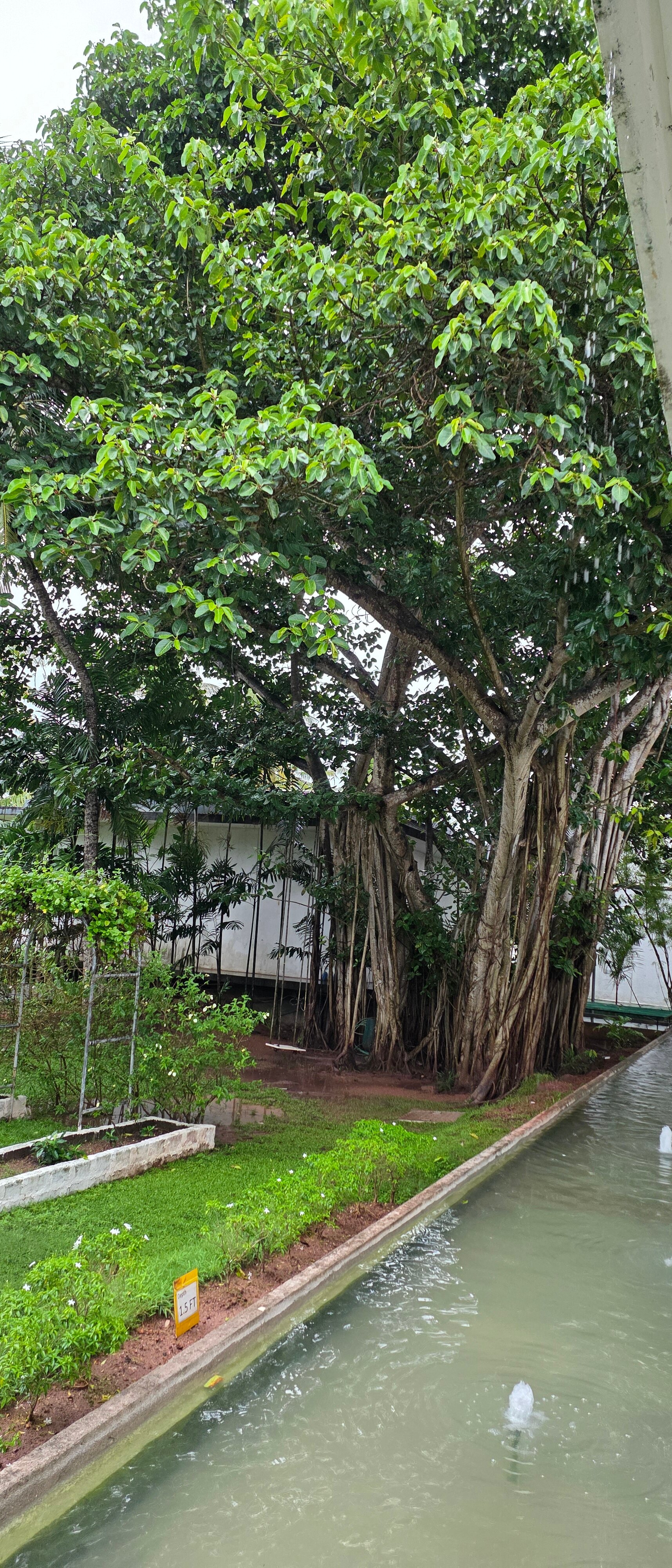 科伦坡机场花园网关酒店-浴室