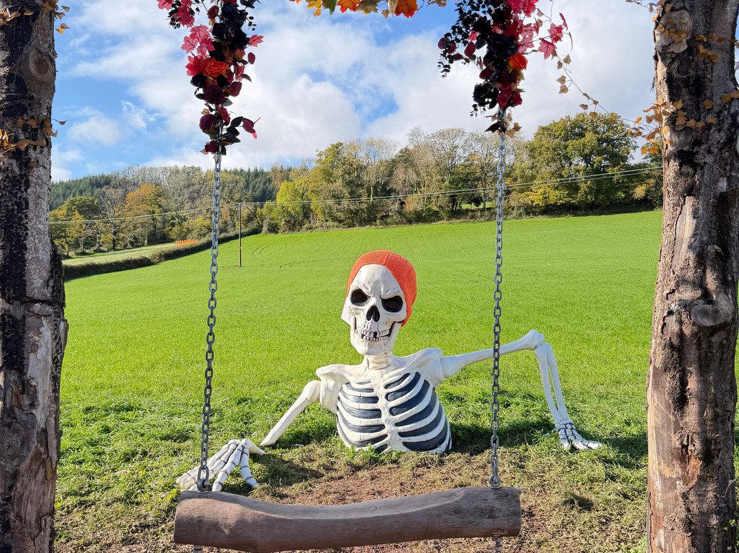 Ty Poeth Farm & Shop-Pontypool必去景点