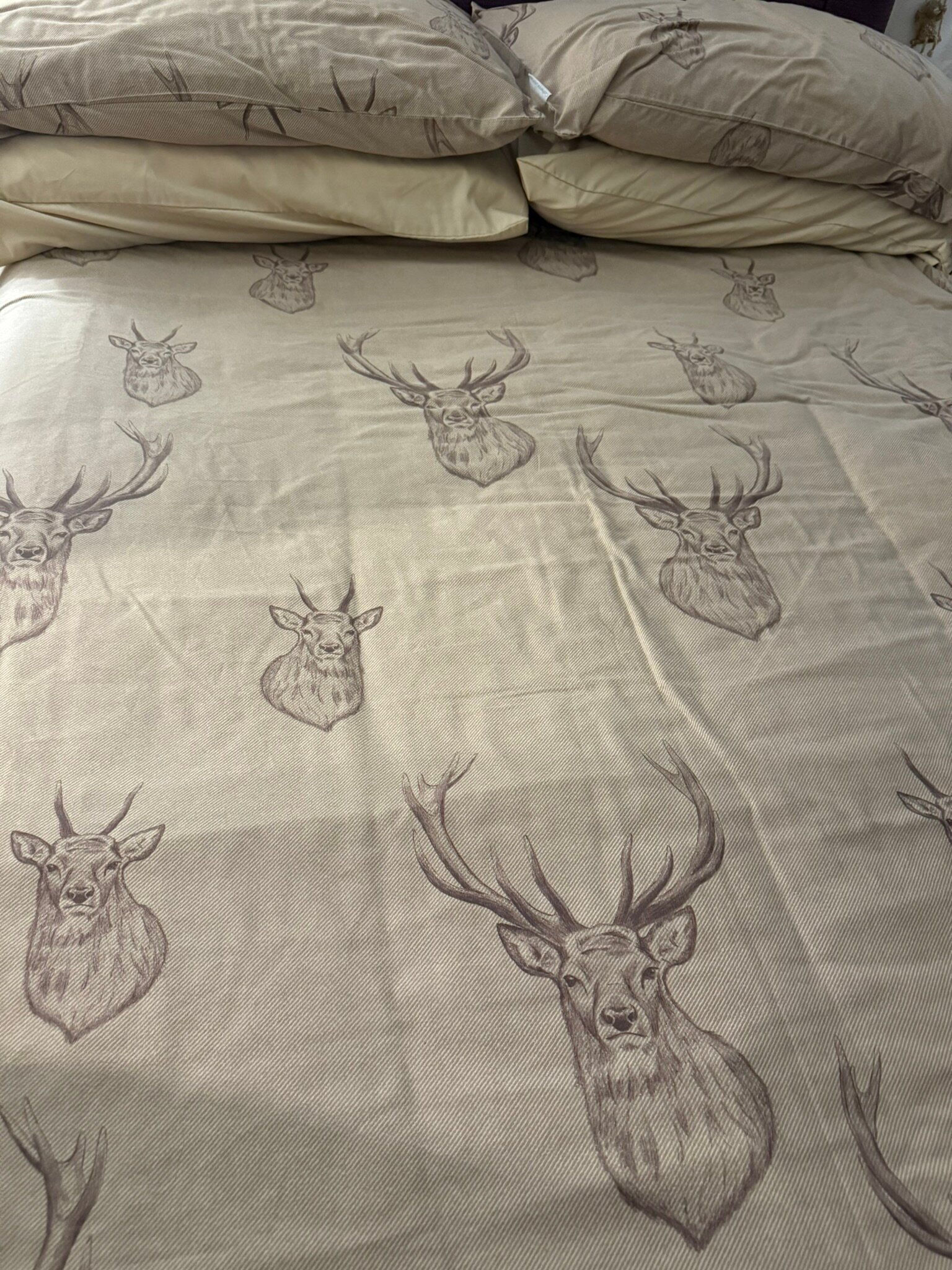 阿尔德达尔住宿加早餐旅馆-官方