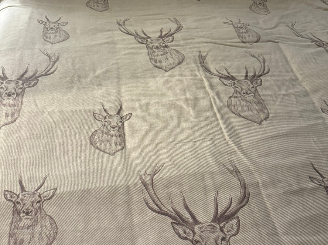 阿尔德达尔住宿加早餐旅馆主图