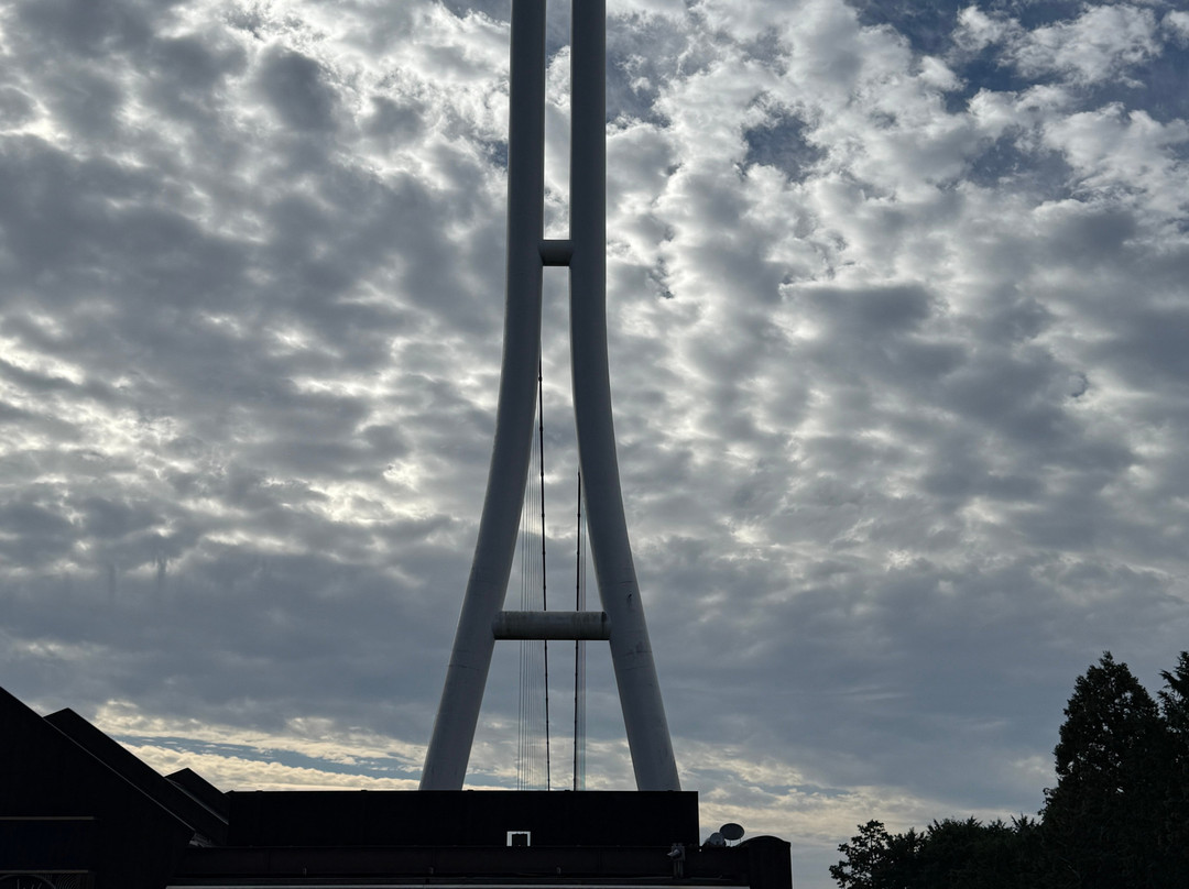 Mishima Skywalk-三岛市必去景点