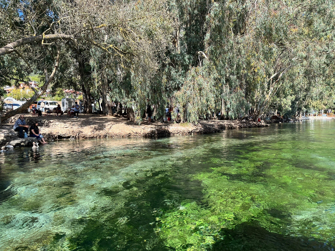 Akyaka River Romp-Akyaka必去景点