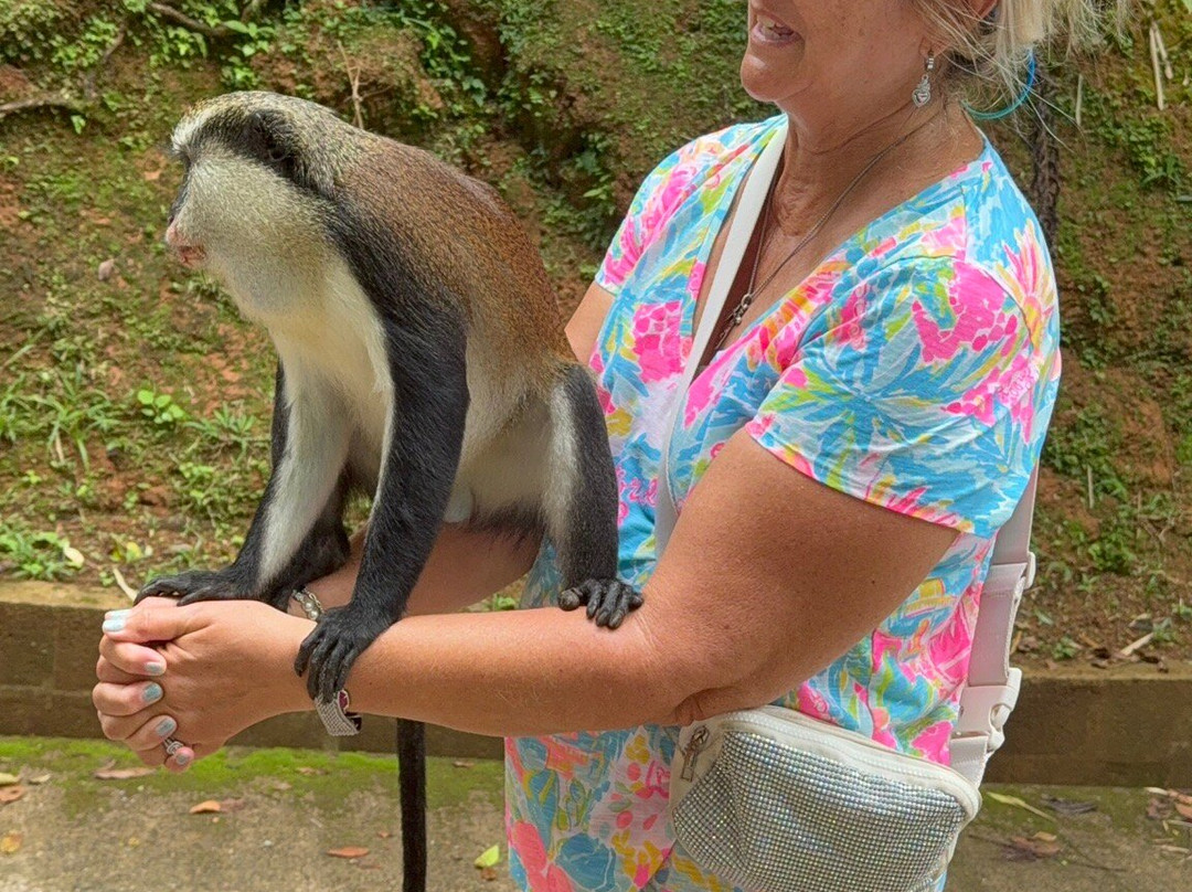 JnJ Tours-St. George's必去景点