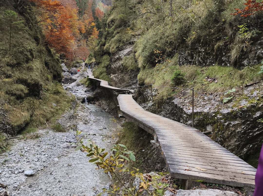 Hotel Waidringer Hof 4-Sterne-Superior - 1. Tiroler Gluckshotel主图