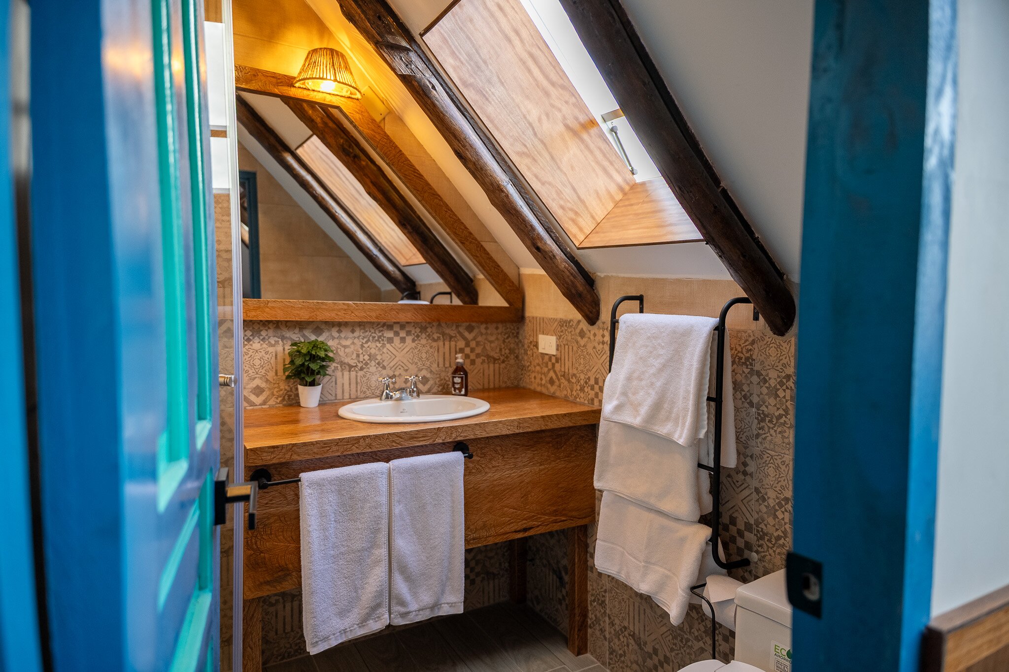 Hacienda El Porvenir-浴室