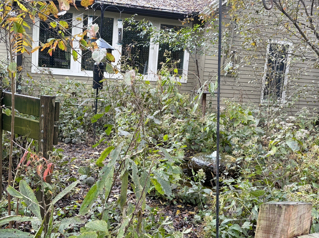 Edwin and Percy Warner Parks-纳什维尔必去景点