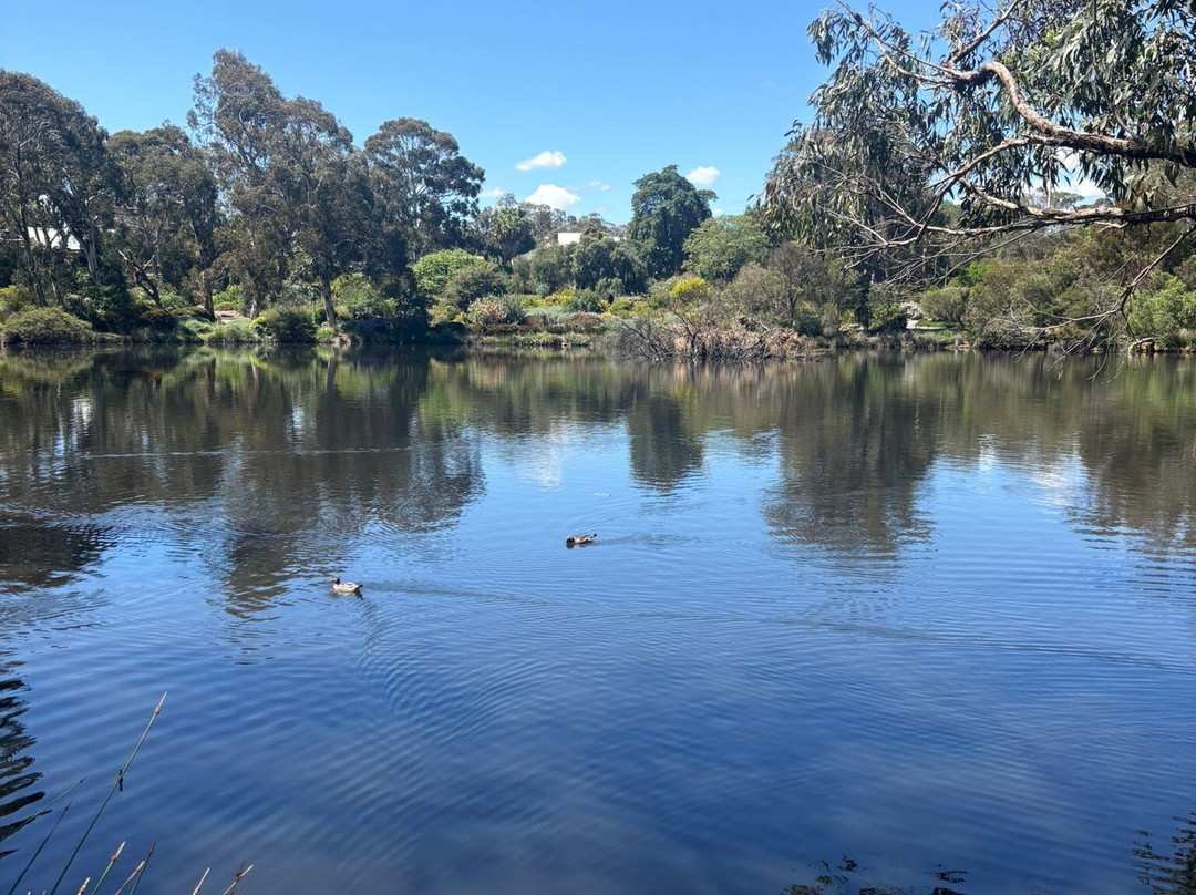 Wittunga Botanic Garden-Blackwood必去景点