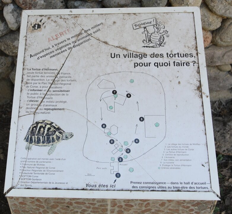 Le village des tortues-Moltifao必去景点