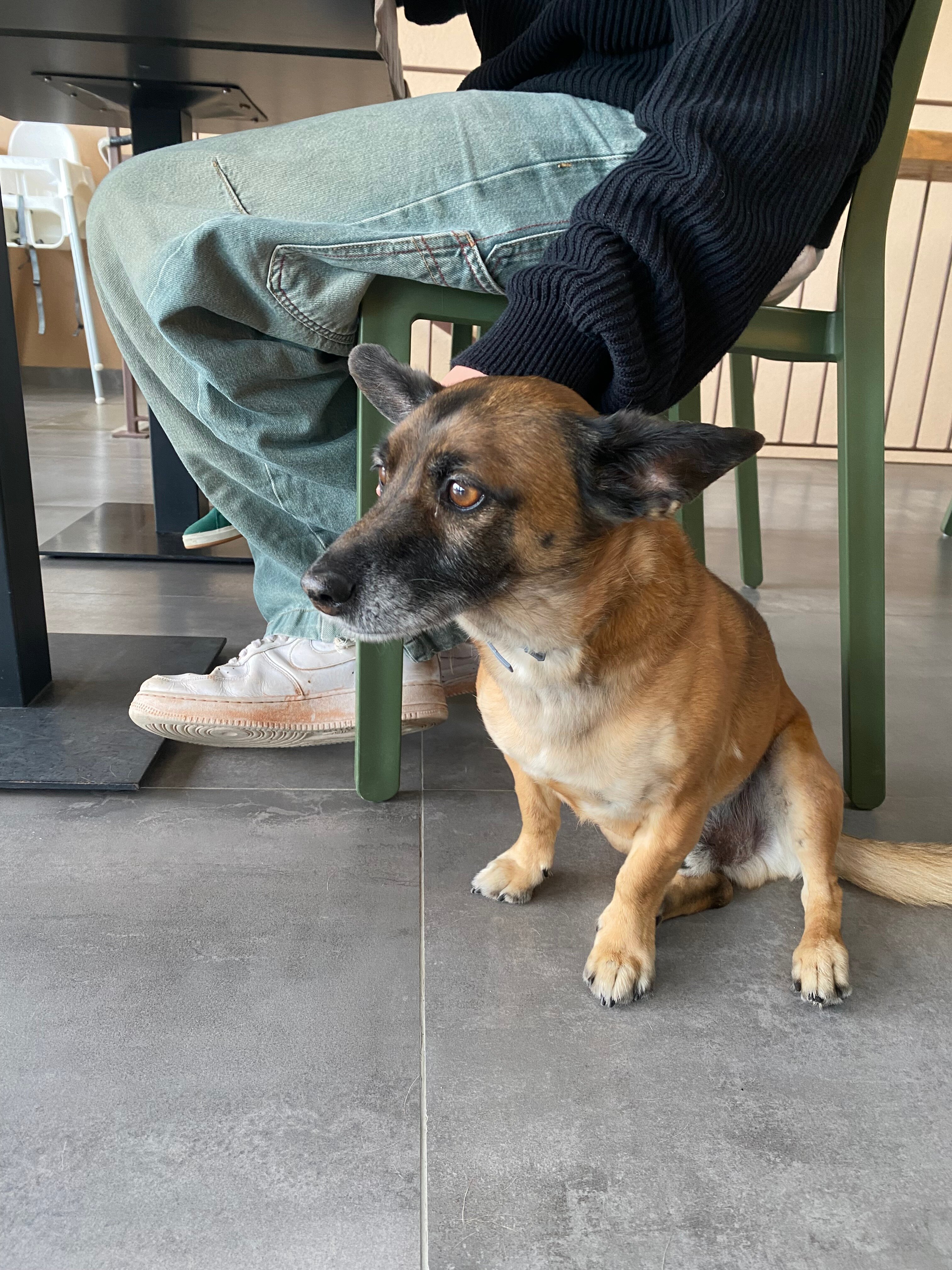 La Cipressina B&B-官方