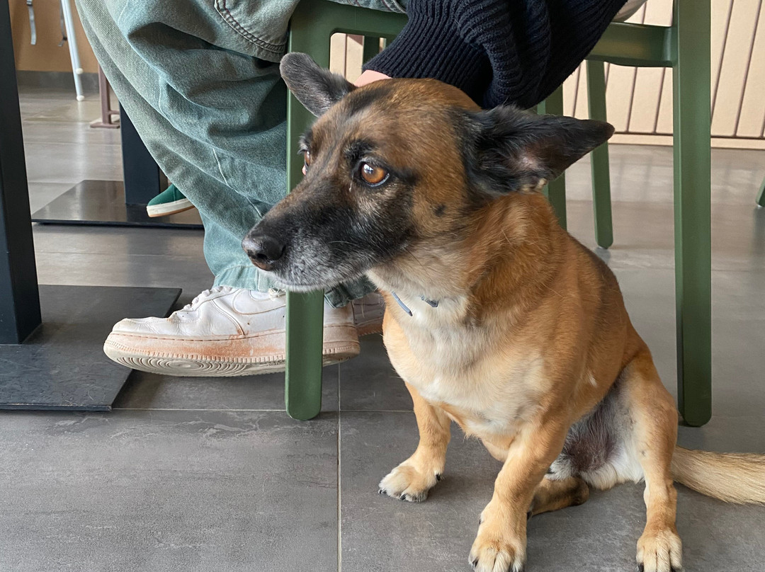 La Cipressina B&B主图