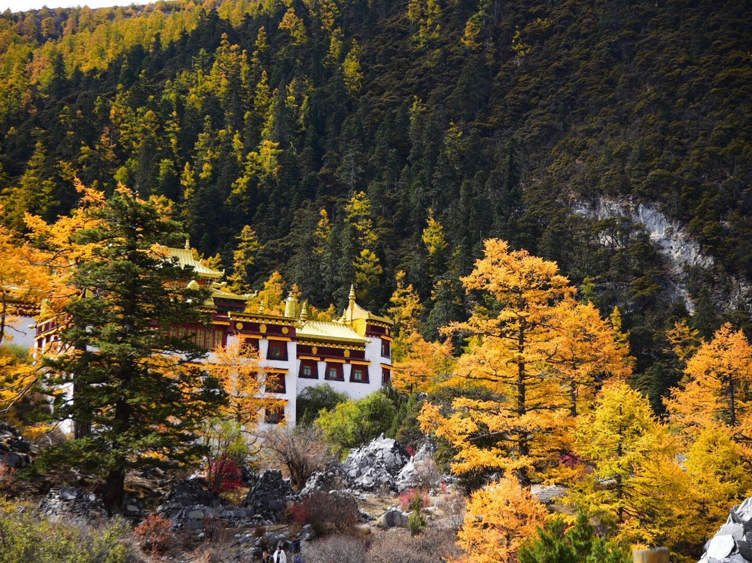 冲古寺-稻城县必去景点