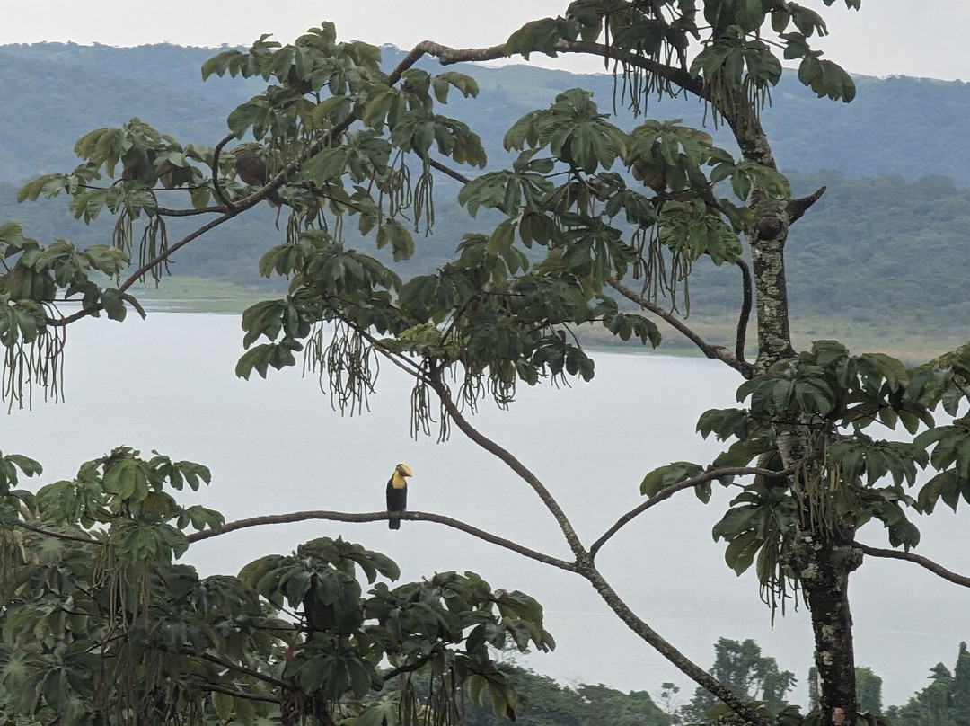 Essence Arenal Hotel, Biofarm & Spa主图