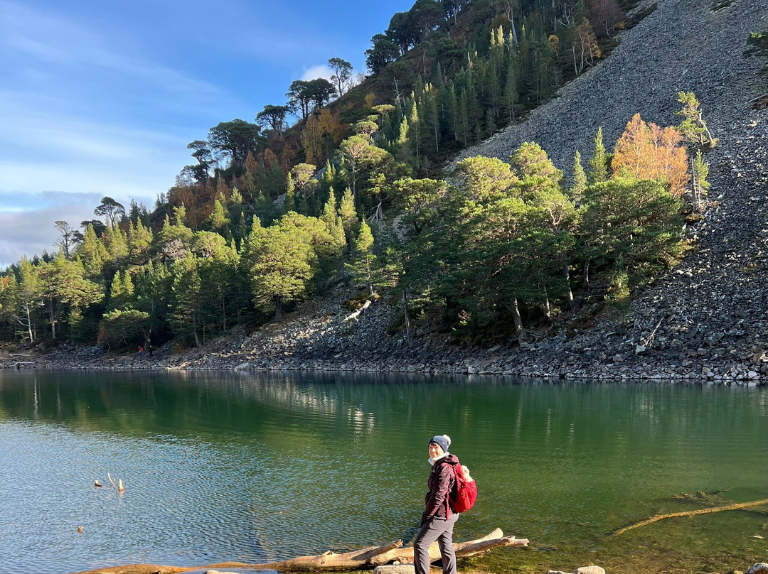 An Lochan Uaine-阿维莫尔必去景点