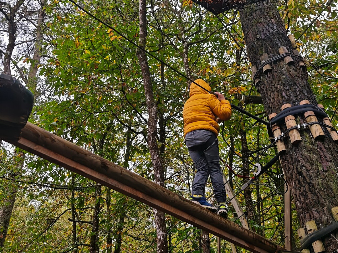 Foret Adrenaline-卡纳克必去景点
