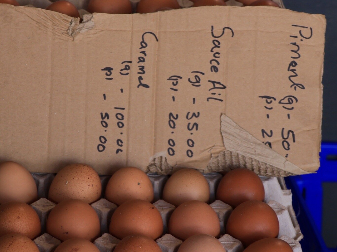 Marché de Flacq-Centre de Flacq必去景点