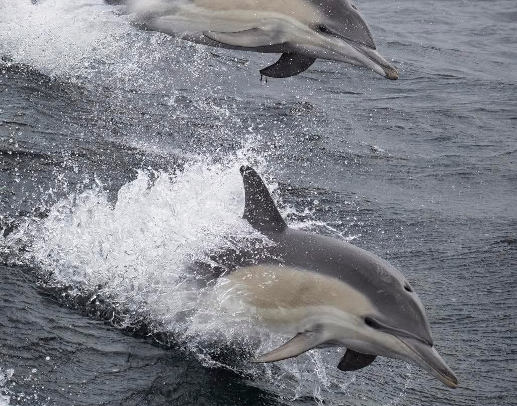 最佳西方客栈汽车旅馆主图